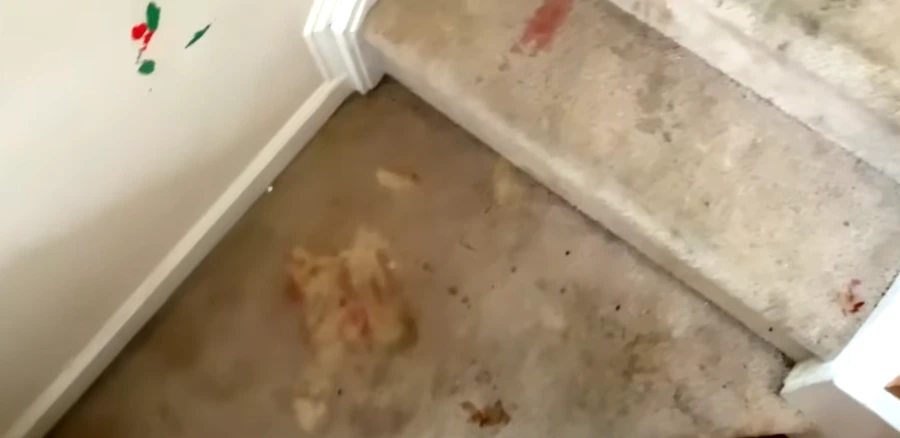 carpet repair near me Medford Oregon before treatment