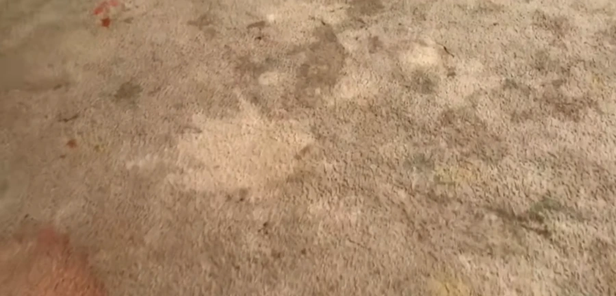 carpet cleaning cost medford - heavily soiled carpet before cleaning