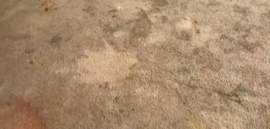 Carpet cleaning in Central Point, Oregon