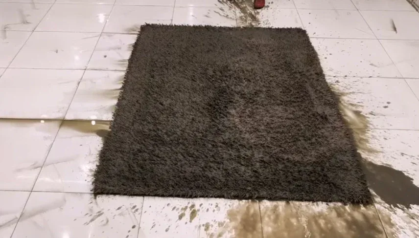 Carpet cleaning in Ashland, Oregon